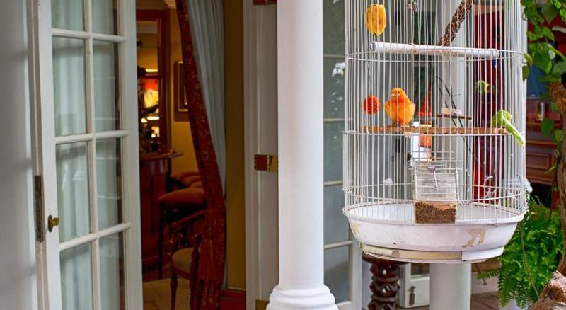 The Munro Boutique Hotel Johannesburg Eksteriør bilde